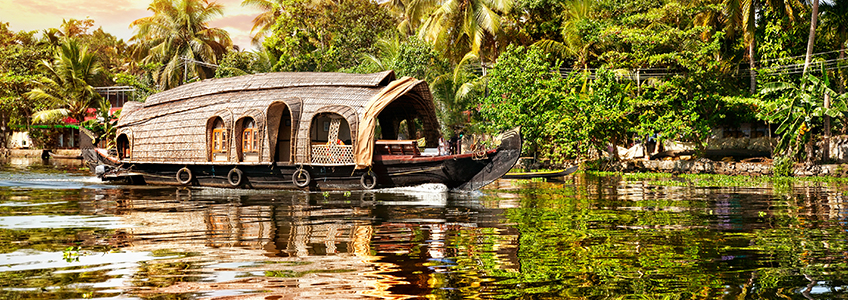 The Tale of Backwaters & Masalas
