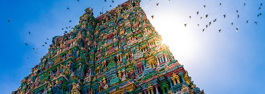 South india temple and ayurveda tour
